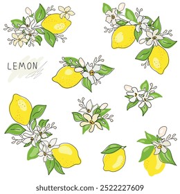 Lemon tree branch with yellow lemon, flowers and green leaves isolated on white. Doodle. Set of fresh, whole fruits. Citrus. Minimal style. Black line. Vector illustration of handwriting.