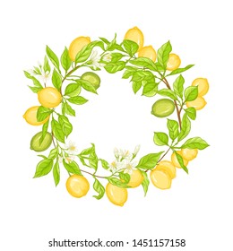 Lemon tree branch with yellow, green lemons, flowers and leaves. Element for design. Vector illustration. Isolated on white background.	