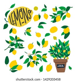 Lemon tree branches with flowers, fruits and leaves. Flat style citrus plant elements with large yellow citron and green bush in a pot. Summer vector illustration with lettering text for print, poster