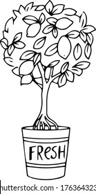 Árbol de limón en una ilustración vectorial de cubo aislado en fondo blanco.