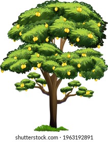 Lemon tree in cartoon style isolated on white background illustration