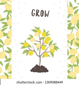 Lemon tree cute card. Vector illustration.