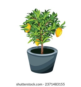 Lemon tree in dark gray pot vector illustration isolated on square white background. Simple flat cartoon art styled drawing. Nature botanical flora plant.