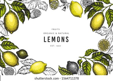 Lemon tree design template. Hand drawn vector fruit illustration. Engraved style banner. Vintage citrus background.