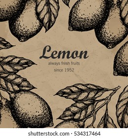 Lemon tree design template. Hand drawn lemon fruit branch with leaves sketch. Vector illustration.