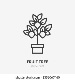 Lemon tree flat line icon. Gardening vector thin sign. Illustration of lemon plant in pot.