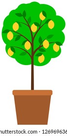 Lemon tree in flowerpot. Vector illustration.