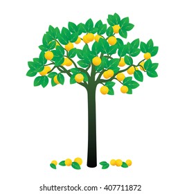 Lemon Tree and Fruits. Vector Illustration.