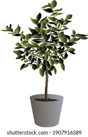 Lemon tree with gradient green leaves growing in metal pot graphic Isolated on white vector 