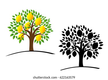 Lemon tree with green leaves. Vector illustration of a tree with ripe lemons. Color and black and white tree. Flat style. 