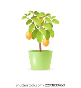 Lemon tree growing in pot 3d vector illustration. Container citrus tree for house decoration in cartoon style isolated on white background. House plants, nature, fruit, home interior concept