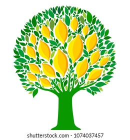 Lemon tree isolated on White background. Citrus tree. Garden fruit. Flat style.  Flat design. Icon Summer. Vector illustration