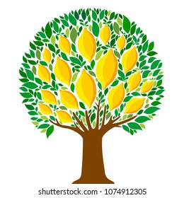 Lemon tree isolated on White background. Citrus tree. Garden fruit. Flat style. Vector illustration