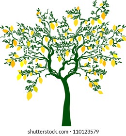 lemon tree isolated on White background. Vector illustration