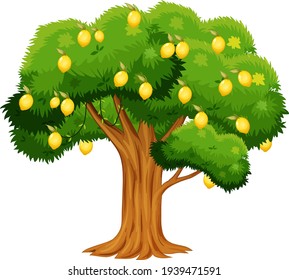 Lemon tree isolated on white background illustration