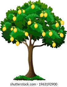 Lemon Tree Isolated On White Background Illustration