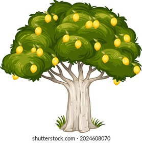 Lemon tree isolated on white background illustration