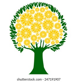 lemon tree isolated on White background. Vector illustration