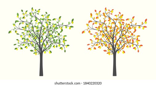 Lemon tree with lemons in two versions with green and red leaves on a light background