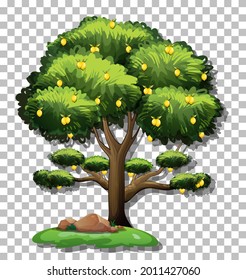 Lemon tree on transparent background illustration