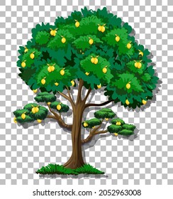 Lemon tree on transparent background illustration