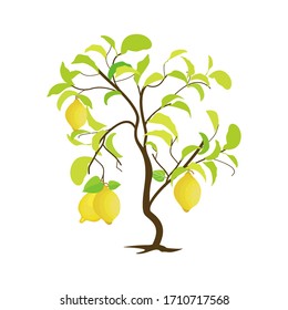 planta de limón con fondo blanco, ilustración vectorial