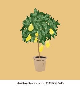 Lemon Tree In Pot, Houseplant. 