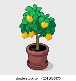 Árbol de limón en la olla. Ilustración vectorial. Se puede utilizar como elemento interior.