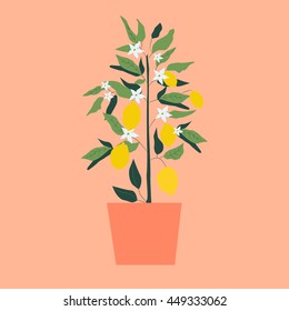 Lemon tree in pot. Vector illustration. Design for card, poster, sticker.