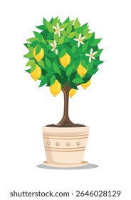 Lemon tree with ripe lemons in a flower pot. Growing vegetables and berries at home on a balcony or windowsill. Vector illustration.
