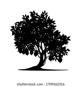 lemon tree silhouette on a white background, vector