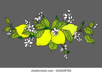 Lemon tree in tattoo style image. Light little flowers with fruits on the branch. Horizontal orientation