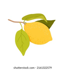Lemon tree twig with yellow fresh citrus fruit and green leaves vector illustration. Cartoon cute branch of tropical plant from summer garden, exotic floral natural composition isolated on white