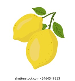 Lemon tree twig with yellow fresh citrus fruit and green leaves vector illustration. Branch of tropical plant from summer garden