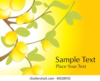 lemon tree with lemon, vector illustration