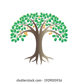 lemon tree vector illustration in cartoon styles