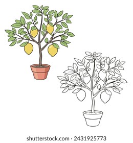 lemon tree vector illustrations. Simple Design Outline Style. You can give color you like. drawing with line-art on white backgrounds.