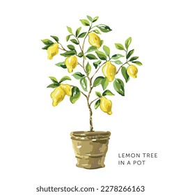 Lemon tree with yellow fruits in a pot on the white background. Vector illustration. Summer garden. Italian patio