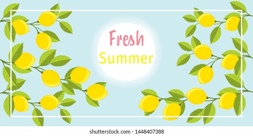 Lemon trees in the summertime, summer background, fresh summer frame