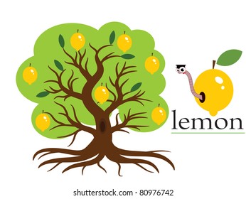 Lemon tree,vector.