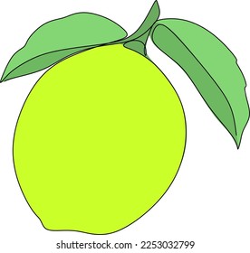 Lemon tropical fruit in continuous line drawing style. Black line sketch on a white background. Vector illustration