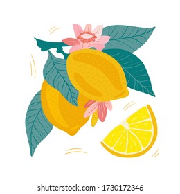 Lemon. Tropical summer fruit isolated on a white background. Citrus in hand drawn style. Scandinavian nordic design for fashion or interior or cover or textile or background. 