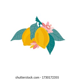 Lemon. Tropical summer fruit isolated on a white background. Citrus in hand drawn style. Scandinavian nordic design for fashion or interior or cover or textile or background. 