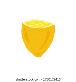 Lemon. Tropical summer fruit isolated on a white background. Citrus in hand drawn style. Scandinavian nordic design for fashion or interior or cover or textile or background. 
