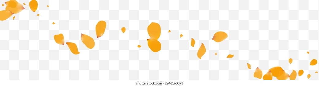 Lemon Tulip Summer Vector Transparent Panoramic Background. Tender Narcissus Cover. Beautiful Petal Flying Backdrop. Yellow Peach Beauty Poster.