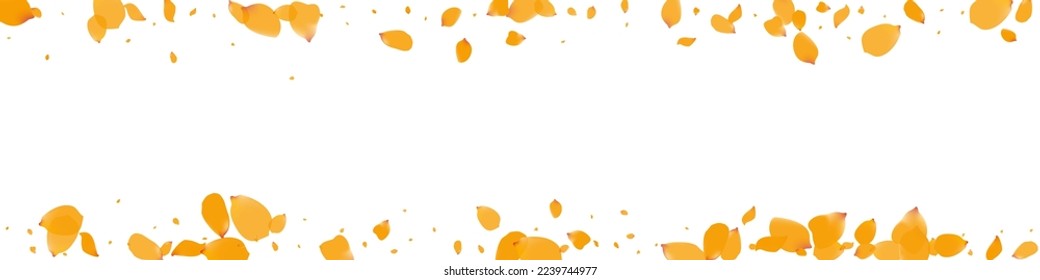 Lemon Tulip Summer Vector White Panoramic Background. Fall Peach Poster. Delicate Blossom Dutch Template. Beautiful Narcissus Falling Pattern.