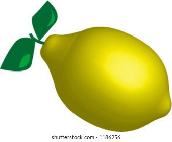 lemon - vector