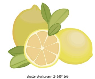 Lemon vector