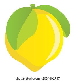 lemon vector for book illustrator