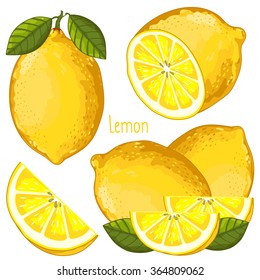 Lemon vector. Citrus lemon slice isolated on white background. Yellow summer tropical fruit for fresh lemonade or citrus juice. Half lemon slice with green leaf vector collection.